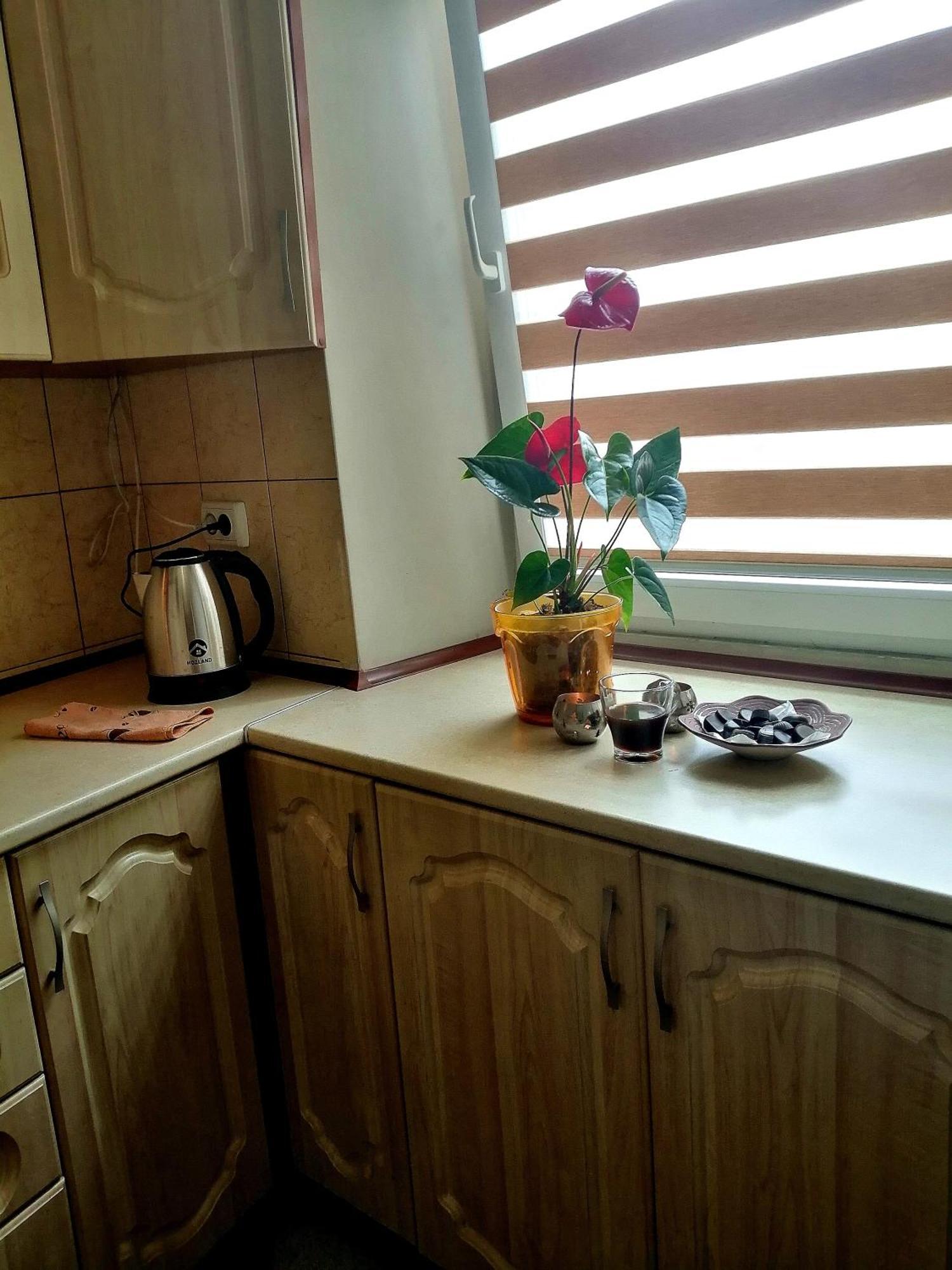 Apartmán Flat On Sheptytskykh Lvov Exteriér fotografie
